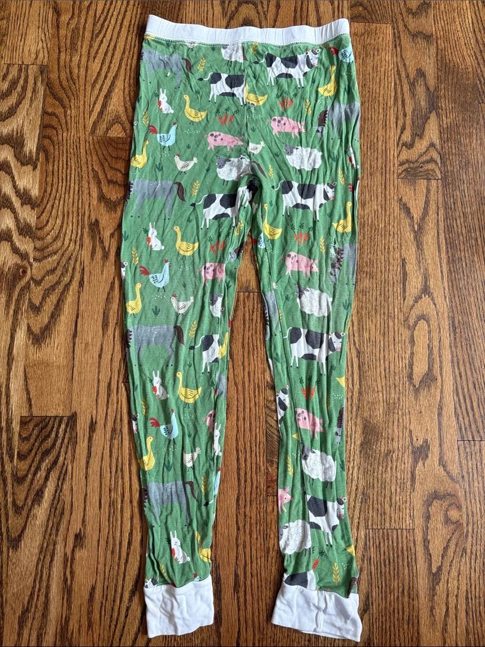 Little Sleepies green bamboo Farm Animals print, 2 piece pajama set. Size 9/10
